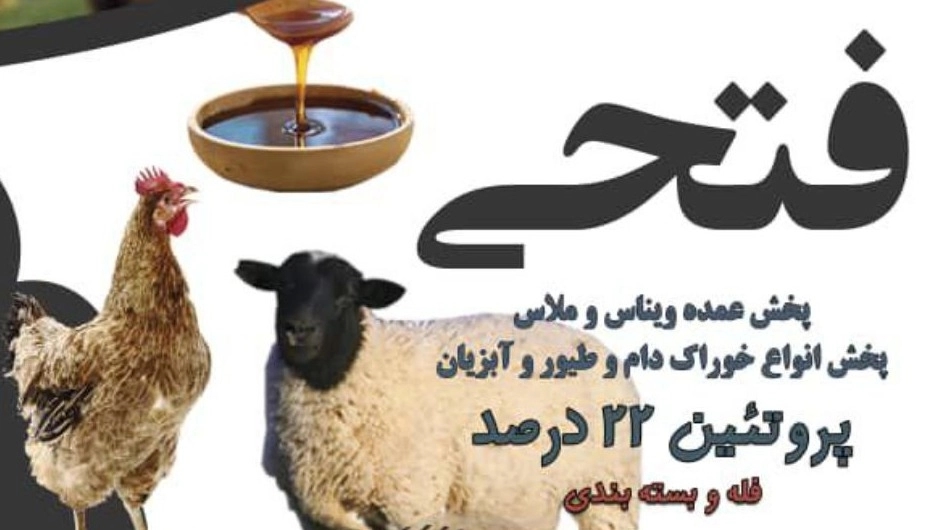 فروش خوراک گاو در قزوین با ملاس و ویناس تازه فروش خوراک گاو در قزوین با ملاس و ویناس تازه