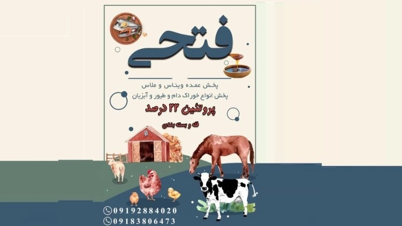 خرید خوراک مرغ با ملاس و ویناس در قزوین خرید خوراک مرغ با ملاس و ویناس در قزوین