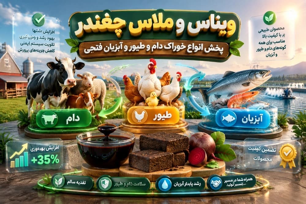 بازرگانی فتحی