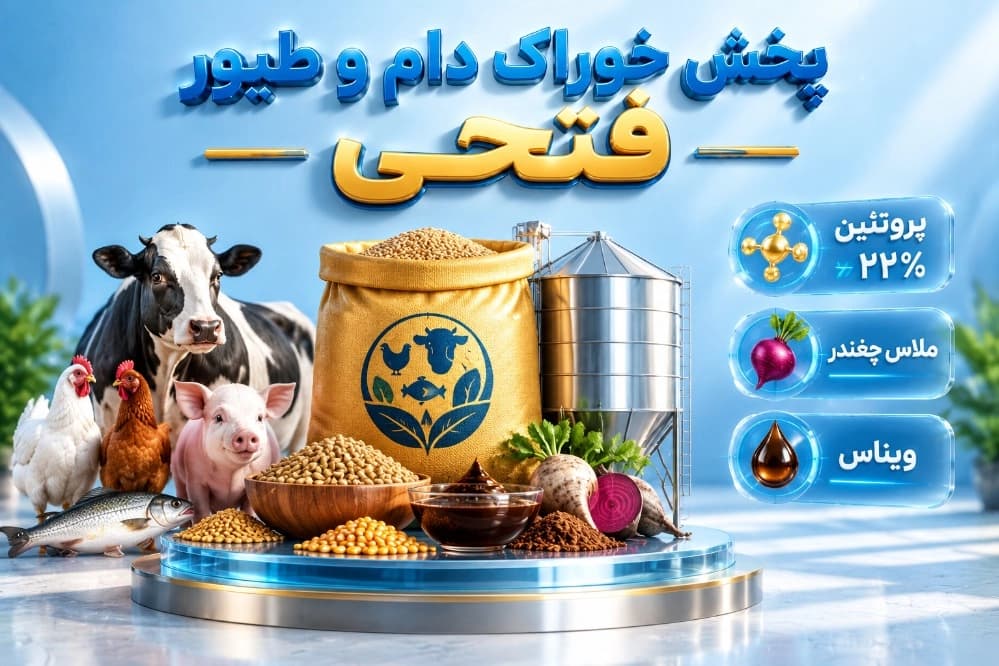 تأمین ملاس و پساب ملاس در قزوین